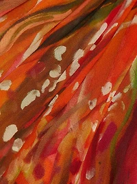 Rosie Printed Silk Georgette A-Line Maxi Dress