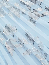 Metallic Floral Ruffle Minidress