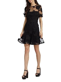 Hannah Organza Belted Minidress