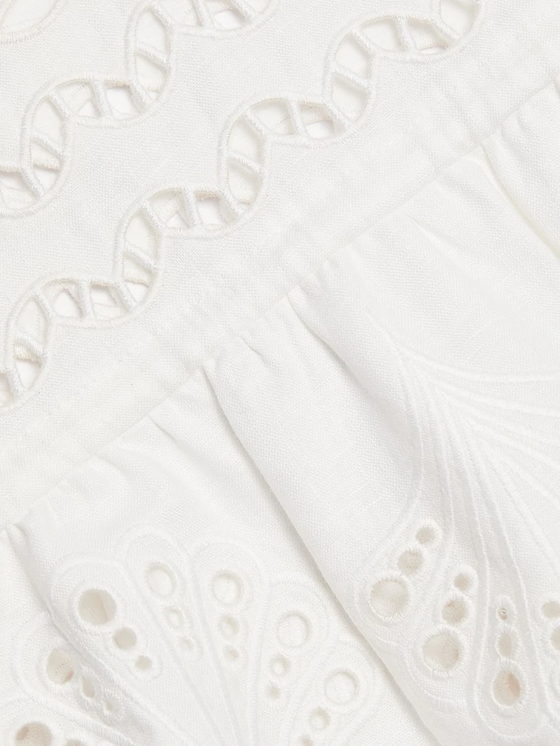 Embroidered Drop-Waist Minidress