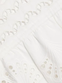 Embroidered Drop-Waist Minidress