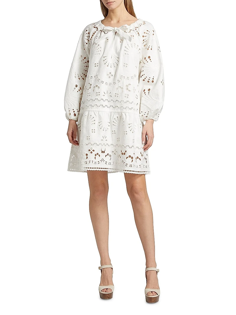 Embroidered Drop-Waist Minidress