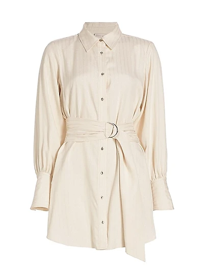 Nellie Pinstriped Shirtdress