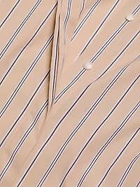 Briar Striped Cotton Poplin Shirtdress