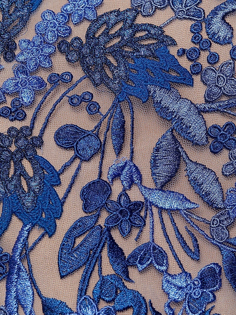 Embroidered Tulle Dress
