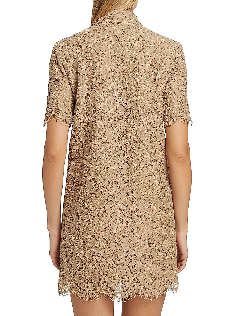 Eyelash Lace Shift Minidress