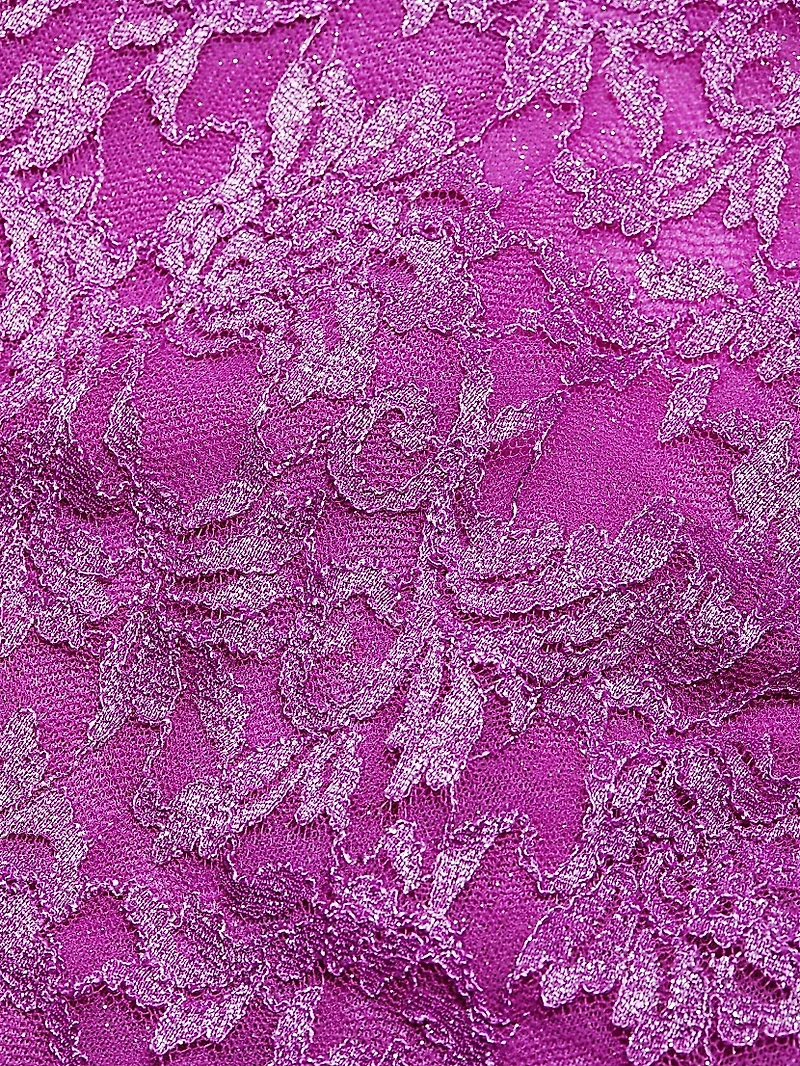 Embroidered Lace Minidress