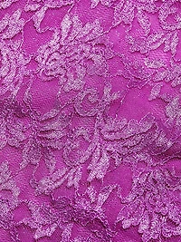 Embroidered Lace Minidress