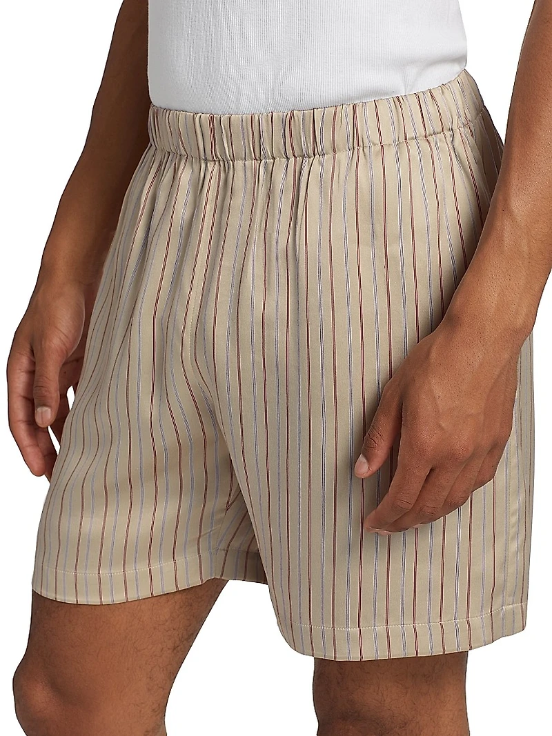 Striped Brushed Silk Shorts
