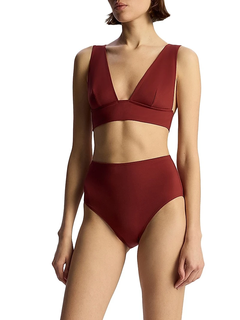 Cora Plunge Bikini Top