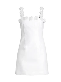 Luza Sleeveless Minidress