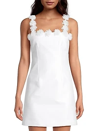 Luza Sleeveless Minidress