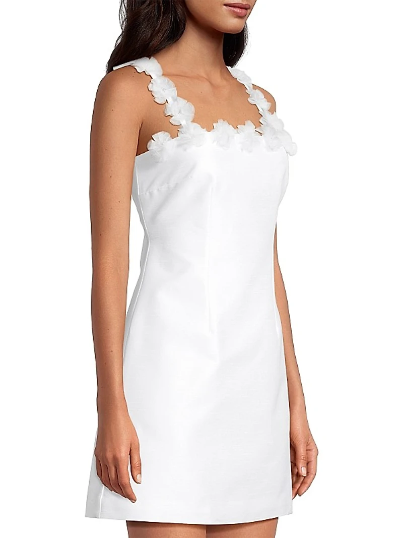 Luza Sleeveless Minidress