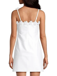 Luza Sleeveless Minidress