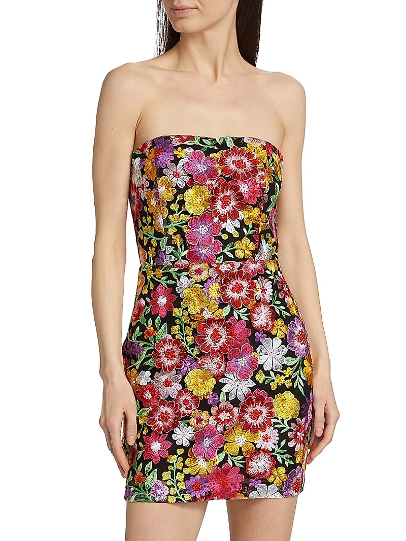 Isabell Floral-Embroidered Strapless Minidress