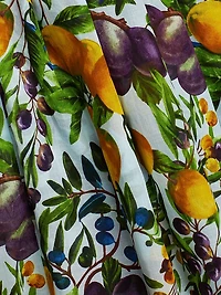 Audrey Fruit Cotton Shirtdress