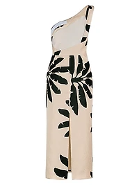 Coyote Dance Wool & Silk Ankle Dress