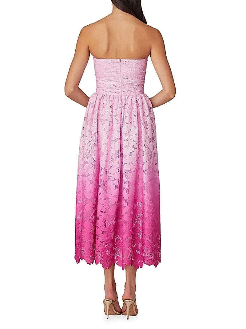 Tulip Ombré Floral Lace Midi-Dress