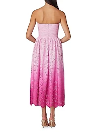 Tulip Ombré Floral Lace Midi-Dress