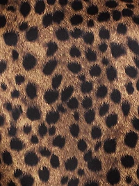 Hansen Leopard Silk Button-Front Shirt