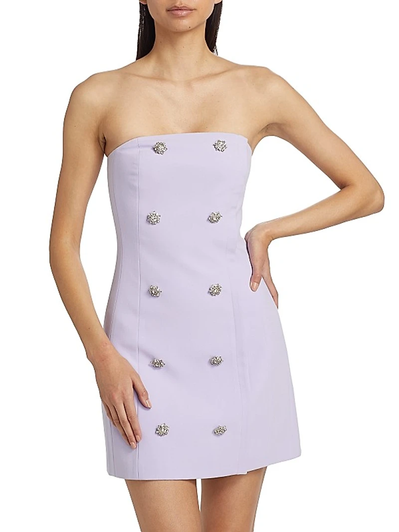 Felda Strapless Bustier Minidress