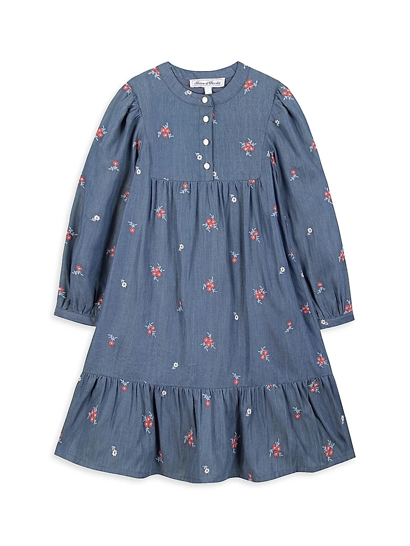 Little Girl's & Floral Chambray Dress