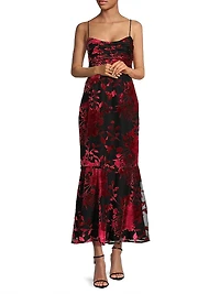 Tylia Floral Velvet Midi Dress
