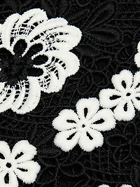 Lace Floral Minidress