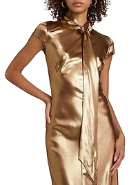 Solar Gaze Metallic Tie-Neck Gown