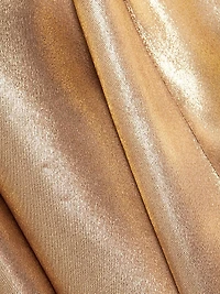 Solar Gaze Metallic Tie-Neck Gown