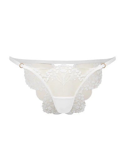 Embroidered Sheer Mesh Brief