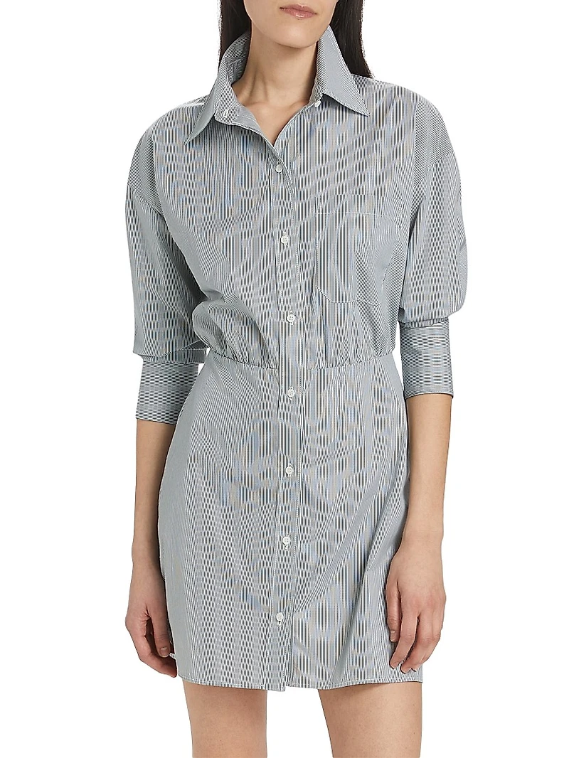 Devon Mini Shirtdress
