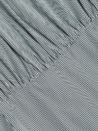 Devon Mini Shirtdress