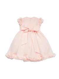 Baby Girl's Taffeta Tulle & Lace Dress