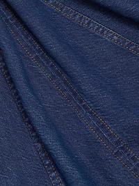Vray Denim Minidress
