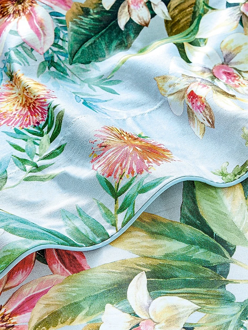 Conte Cotton Sheet & Pillowcase Collection