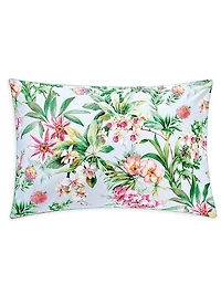 Conte Cotton Duvet & Sham Collection