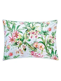 Conte Cotton Duvet & Sham Collection