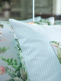 Conte Cotton Duvet & Sham Collection