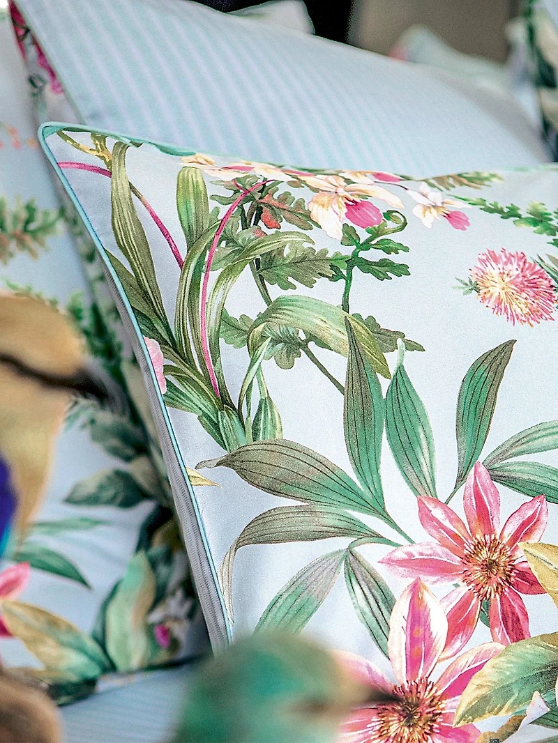 Conte Cotton Duvet & Sham Collection