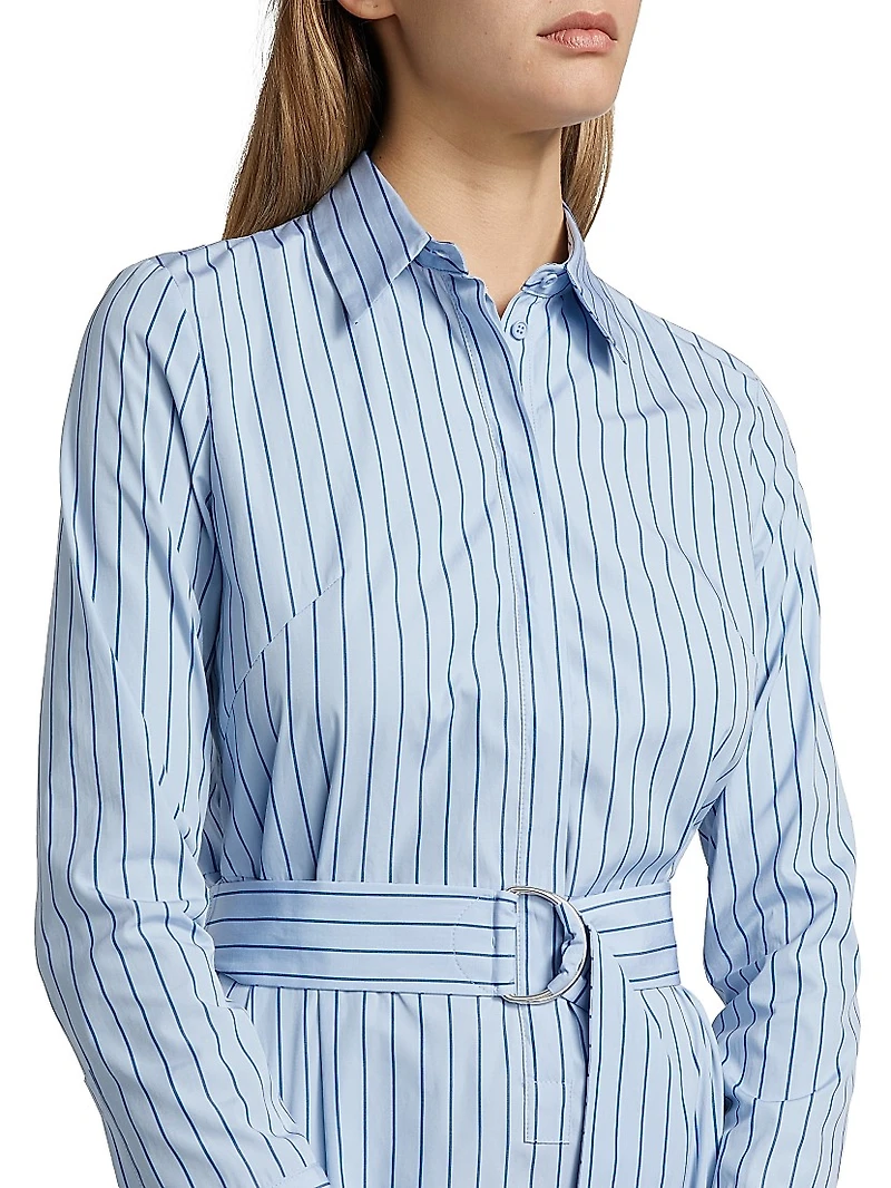 Belted Striped Shirtdress