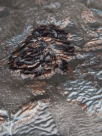 Elsie Floral Drape Cocktail Dress