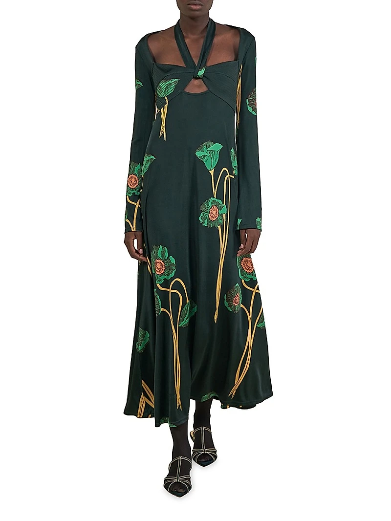 Paisaje Lejano Maxi Dress