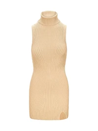 Callum Rib-Knit Turtleneck Minidress