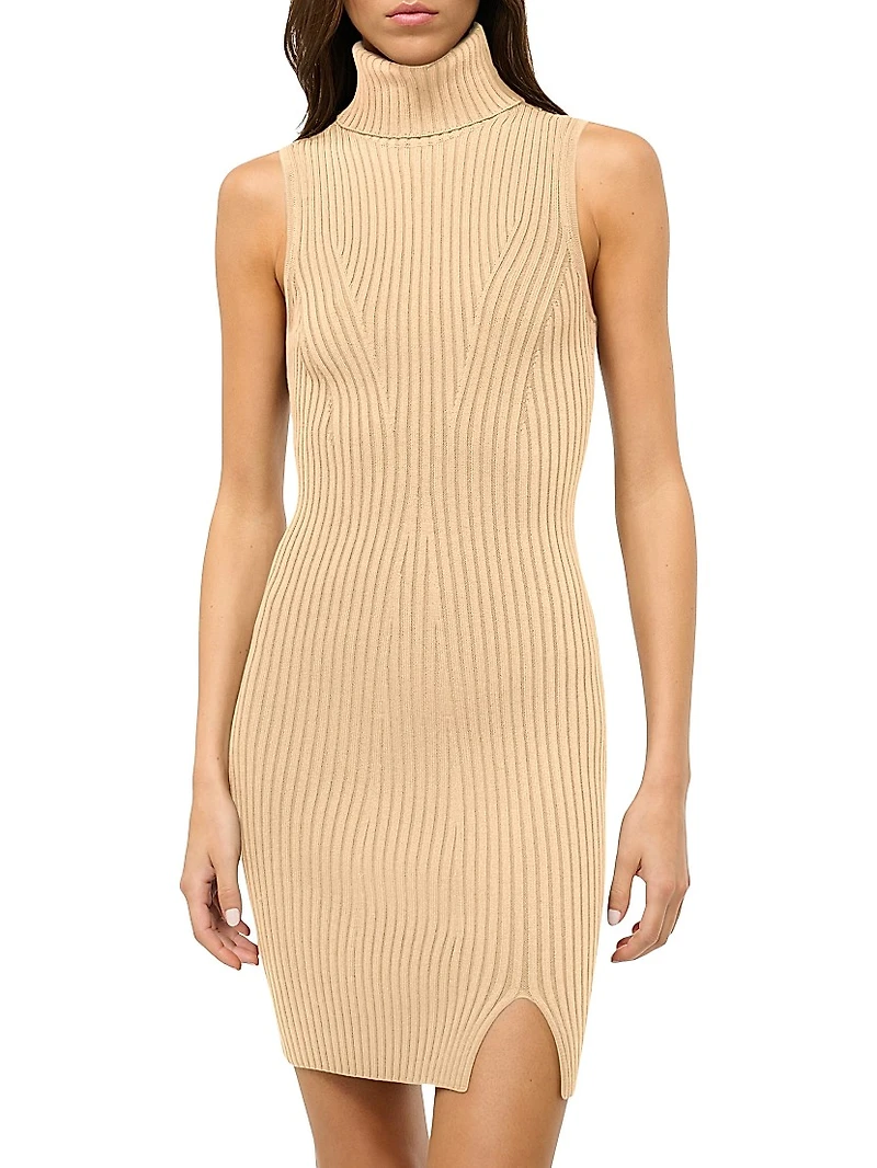 Callum Rib-Knit Turtleneck Minidress