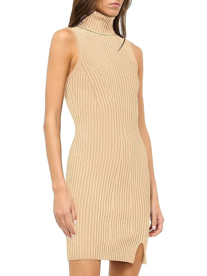 Callum Rib-Knit Turtleneck Minidress