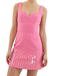 Rosita Sequin-Embellished Minidress