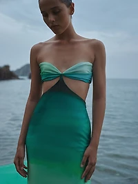 Islote Riri Ombré Strapless Maxi Dress