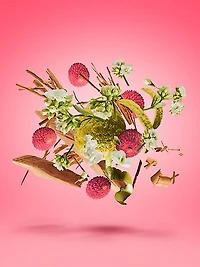 Elle Anniversary Parfum