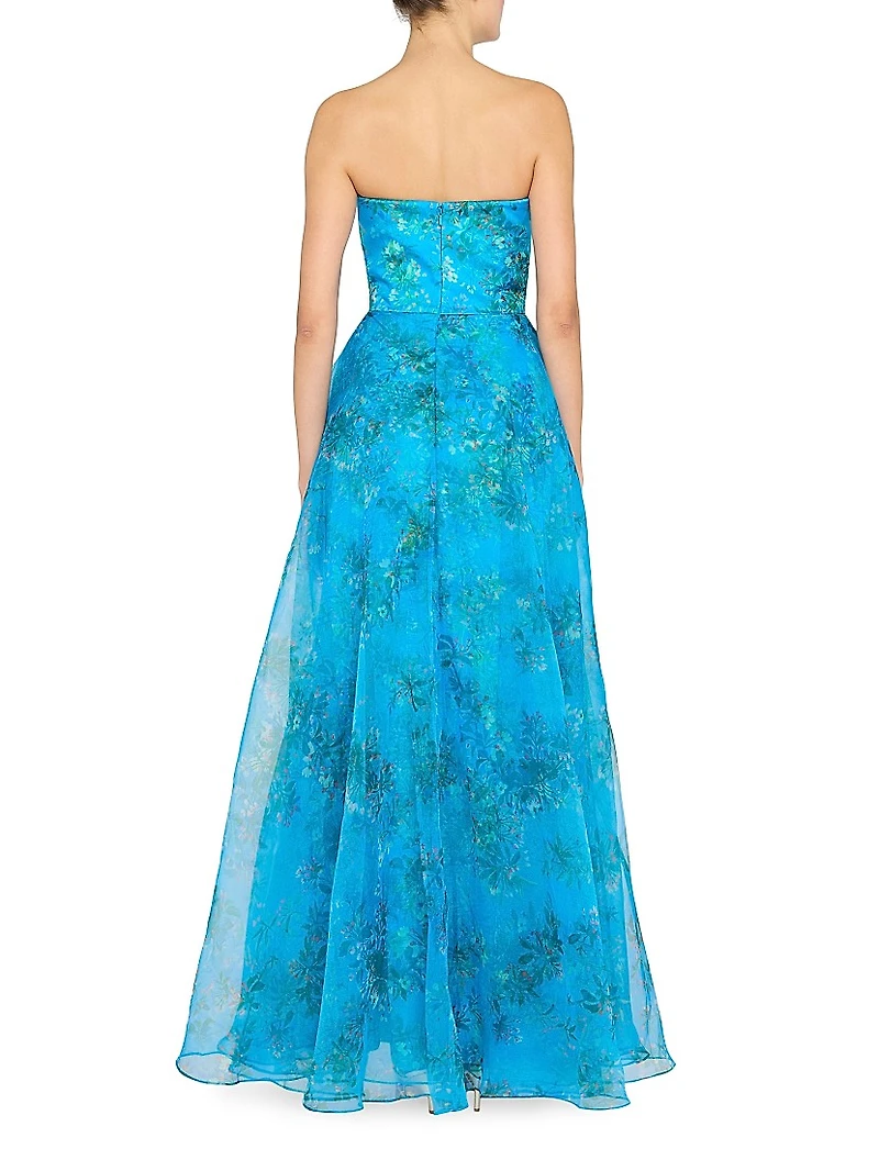 Anaclara Floral Organza A-Line Gown